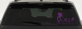 My AT ST Doesn't Care About Your Stick Family Car or Truck Window Decal Sticker (Violet)