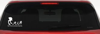 My AT ST Doesn't Care About Your Stick Family Car or Truck Window Decal Sticker (White)