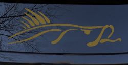 Bass Fish Fishing Car or Truck Window Vinyl Decal Sticker (Gold)
