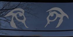 Wolf Eyes Car or Truck Window Decal Sticker (Silver)