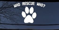 Who Rescue Who Dog or Cat Adoption Car or Truck Window Decal Sticker