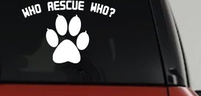 Who Rescue Who Dog or Cat Adoption Car or Truck Window Vinyl Decal Sticker