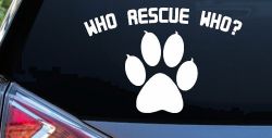 Who Rescue Who Dog or Cat Adoption Car or Truck Window Decal Sticker