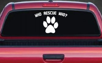 Who Rescue Who Dog or Cat Adoption Car or Truck Window Decal Sticker