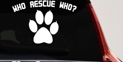 Who Rescue Who Dog or Cat Adoption Car or Truck Window Vinyl Decal Sticker