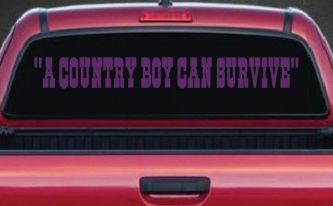A Country Boy Can Survive Car or Truck Window Vinyl Decal Sticker (Violet)