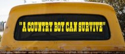 A Country Boy Can Survive Car or Truck Window Vinyl Decal Sticker (Yellow)