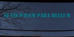 Si Vis Pacem Para Bellum If You Want Peace Prepare For War Freedom Military Car or Truck Window Vinyl Decal Sticker (Turquoise Blue)