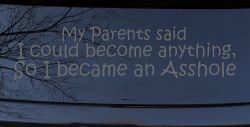 Parents Said I Could Become Anything So I Became an Asshole Funny Car or Truck Window Vinyl Decal Sticker (Silver)