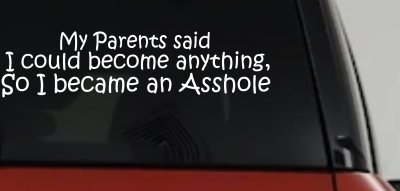 Parents Said I Could Become Anything So I Became an Asshole Funny Car or Truck Window Vinyl Decal Sticker