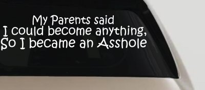 Parents Said I Could Become Anything So I Became an Asshole Funny Car or Truck Window Vinyl Decal Sticker