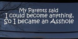Parents Said I Could Become Anything So I Became an Asshole Funny Car or Truck Window Decal Sticker