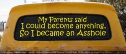 Parents Said I Could Become Anything So I Became an Asshole Funny Car or Truck Window Vinyl Decal Sticker (Yellow)