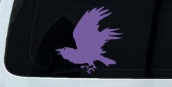 Raven Car or Truck Window Vinyl Decal Sticker (Purple)