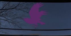 Raven Car or Truck Window Vinyl Decal Sticker (Violet)
