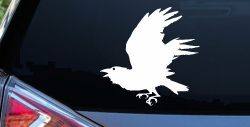 Raven Car or Truck Window Decal Sticker