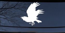 Raven Car or Truck Window Decal Sticker