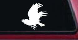 Raven Car or Truck Window Decal Sticker