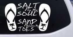 Salt In My Soul Sand Between My Toes Flip Flops Palm Tree Car or Truck Window Decal Sticker