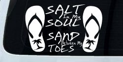 Salt In My Soul Sand Between My Toes Flip Flops Palm Tree Car or Truck Window Decal Sticker