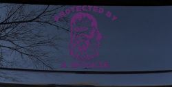 Protected By A Wookie Sci Fi Car or Truck Window Vinyl Decal Sticker (Violet)