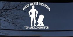 These Are Not The Droids You Are Looking For C3PO R2 D2 Sci Fi Car or Truck Window Decal Sticker