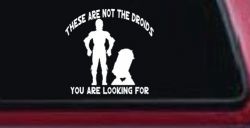 These Are Not The Droids You Are Looking For C3PO R2 D2 Sci Fi Car or Truck Window Decal Sticker