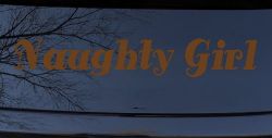 Naughty Girl Car or Truck Window Decal Sticker (Copper)
