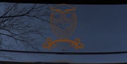 Cute Owl On Small Swirl Tree Limb Car or Truck Window Decal Sticker (Copper)
