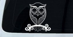 Cute Owl On Small Swirl Tree Limb Car or Truck Window Decal Sticker