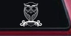 Cute Owl On Small Swirl Tree Limb Car or Truck Window Decal Sticker