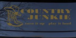 Country Junkie Turn It Up Play It Loud Country Car or Truck Window Decal Sticker (Gold)