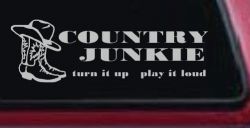 Country Junkie Turn It Up Play It Loud Country Car or Truck Window Vinyl Decal Sticker (Light Gray)