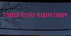 United States Marine Corps Military Car or Truck Window Decal Sticker (Hot Pink)