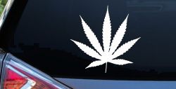 Marijuana Cannabis Leaf Car or Truck Window Decal Sticker