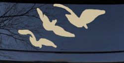 Three Birds Flying Car or Truck Window Vinyl Decal Sticker (Desert Sand)