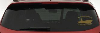 My Other Ride Is A Aircraft Carrier Military Car or Truck Window Decal Sticker (Gold)