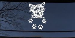 Small Dog With Paw Prints Car or Truck Window Decal Sticker