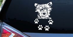 Small Dog With Paw Prints Car or Truck Window Decal Sticker