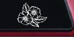 Cherokee Rose Corner Design Flowers And Vines Car or Truck Window Decal Sticker