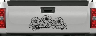Cherokee Rose Flowers And Vines Car or Truck Window Decal Sticker (Black)