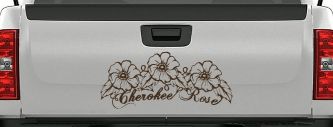 Cherokee Rose Flowers And Vines Car or Truck Window Vinyl Decal Sticker (Brown)