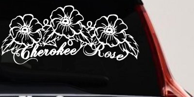 Cherokee Rose Flowers And Vines Car or Truck Window Vinyl Decal Sticker