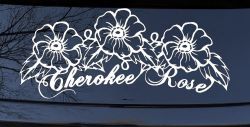 Cherokee Rose Flowers And Vines Car or Truck Window Decal Sticker