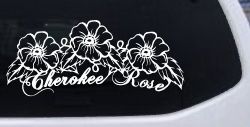 Cherokee Rose Flowers And Vines Car or Truck Window Decal Sticker