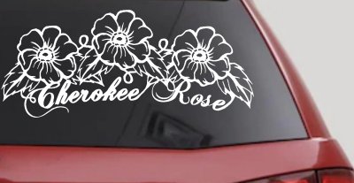 Cherokee Rose Flowers And Vines Car or Truck Window Vinyl Decal Sticker