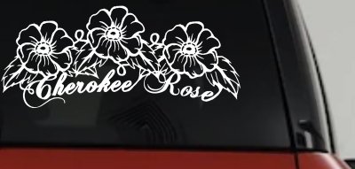 Cherokee Rose Flowers And Vines Car or Truck Window Vinyl Decal Sticker