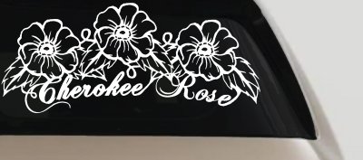 Cherokee Rose Flowers And Vines Car or Truck Window Vinyl Decal Sticker