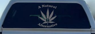 A Natural Alternative Medical Marijuana Cannabis Car or Truck Window Decal Sticker (Silver)
