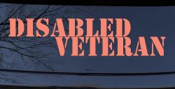 Disabled Veteran Military Car or Truck Window Vinyl Decal Sticker (Coral)